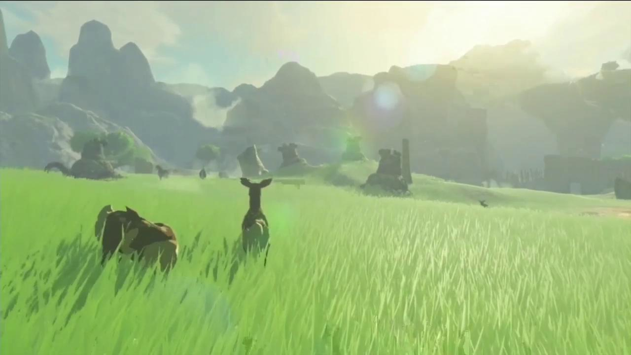 hyrule warriors grass