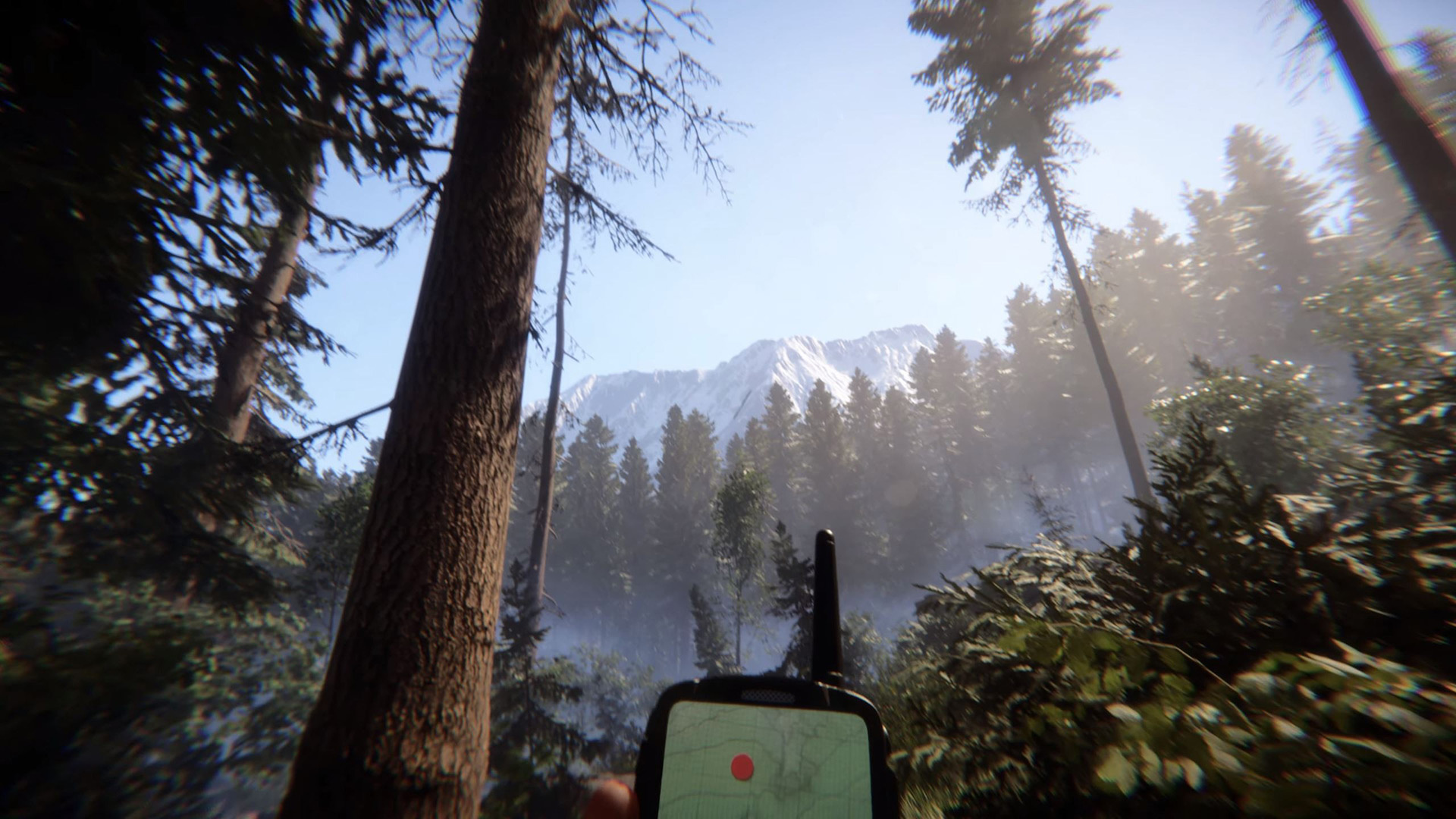 Sons of the Forest Trailer early access domani